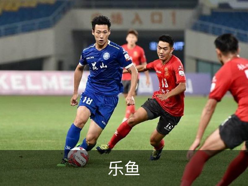 乐鱼介绍